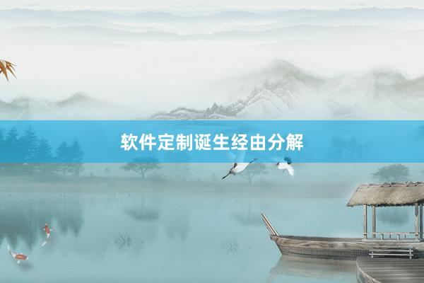 软件定制诞生经由分解