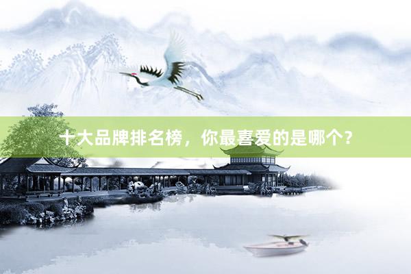 十大品牌排名榜，你最喜爱的是哪个？