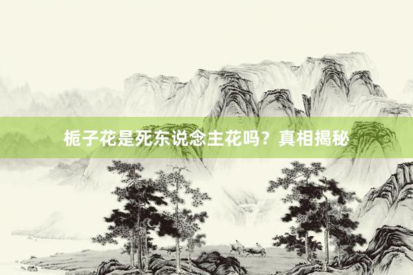 栀子花是死东说念主花吗？真相揭秘