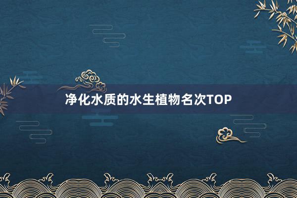 净化水质的水生植物名次TOP